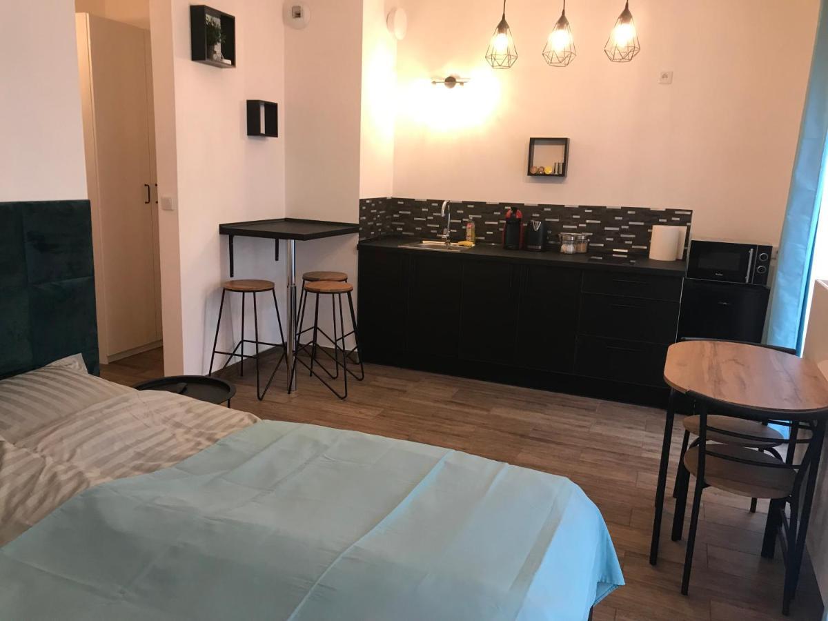Steam Park Rakowicka Koper Apartment Krakow Bagian luar foto